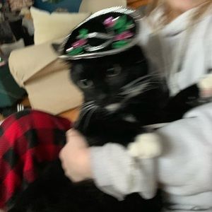 Meet your Posher, Laney